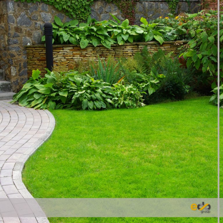 Como escolher e começar um jardim em casa